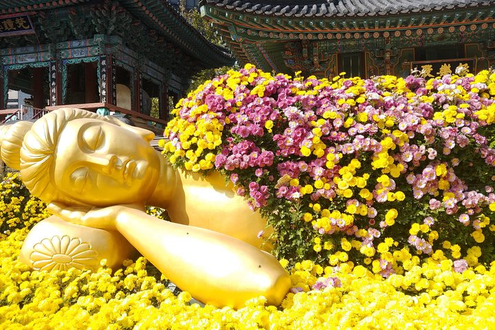 "The Lying Buddha" at Chrysanthemum Festivals in 2019. Jogyesa is full of activities and events all year round. 